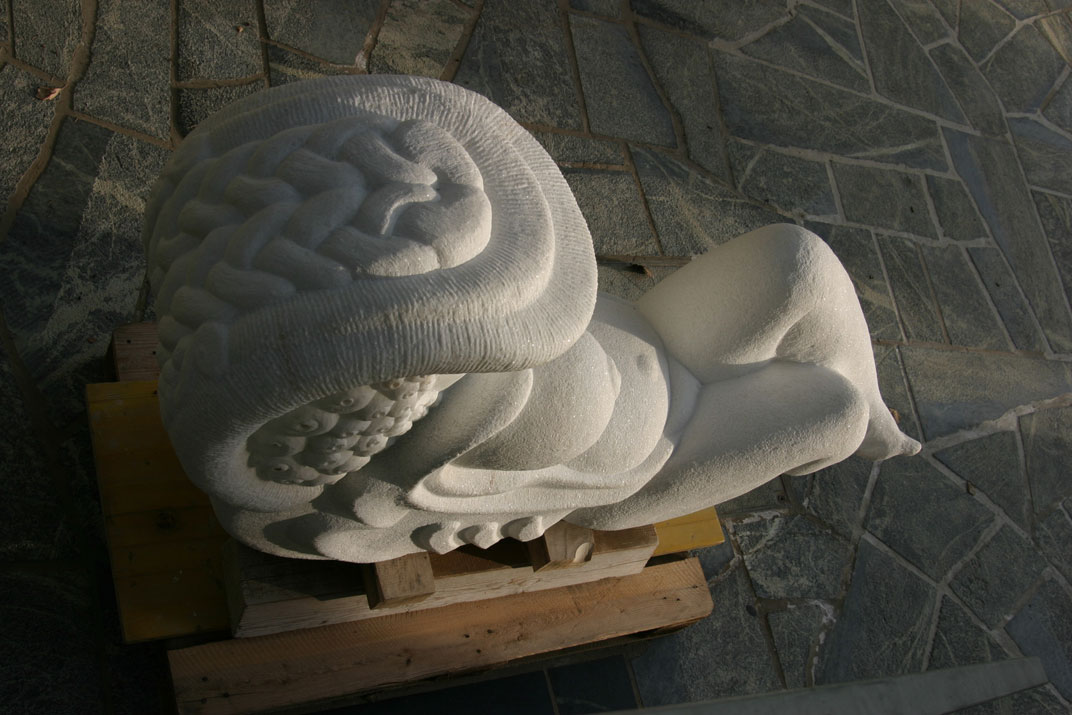 VENUS MIT RÜCKGRAT 2007 - von oben